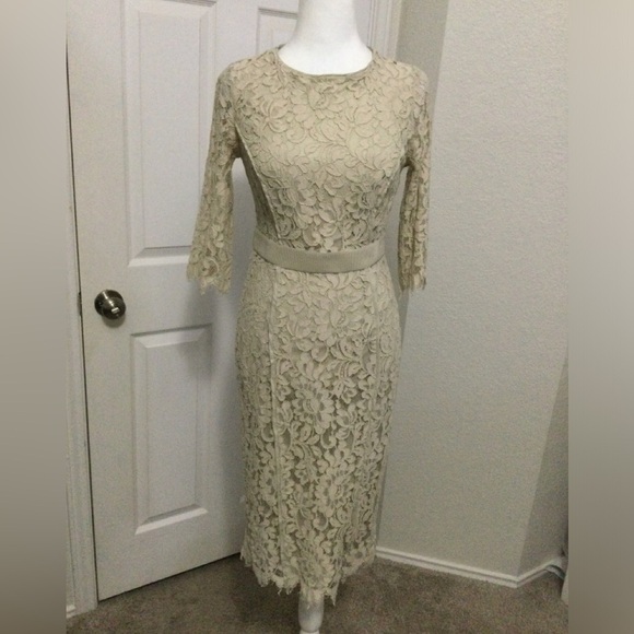 eva mendes for New York & Company Dresses & Skirts - Eva Mendes New York Company Cream Floral Cotton Blend 3/4 Sleeve Dress Size XS